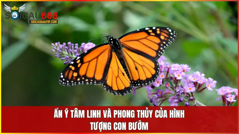 Giải giải mã giấc mơ thấy con bướm và những con số may mắn nên đánh 6 Con bướm tượng trưng cho sự tái sinh hạnh phúc và những thay đổi tích cực trong phong thủy
