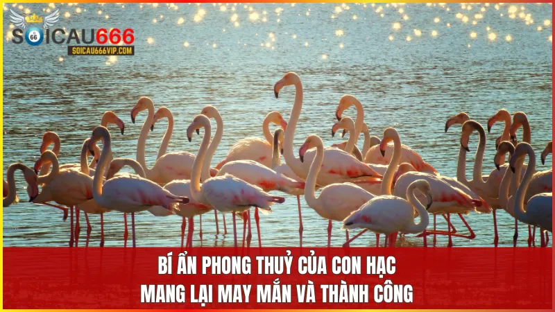 Con hạc số mấy? mơ thấy con hạc đánh con gì trúng? 5 Con hạc mang nguồn năng lượng tích cực thúc đẩy tài lộc trường thọ và thịnh vượng trong không gian sống.