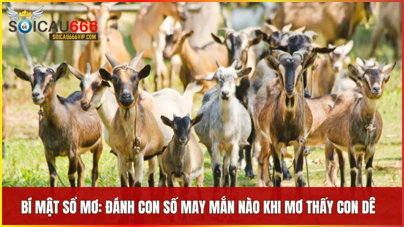 Khám phá con dê số mấy và câu chuyện đằng sau giấc mơ 10 Từng chi tiết trong giấc mơ về con dê gợi ý những con số may mắn để thử vận may