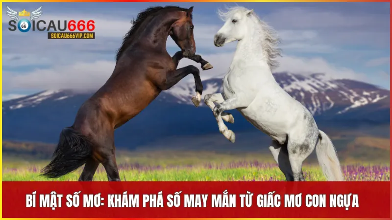 Con ngựa số mấy? Tìm hiểu các cặp số may mắn và ý nghĩa giấc mơ 8 Từng chi tiết trong giấc mơ ngựa đều có thể hé lộ con số gắn với vận may