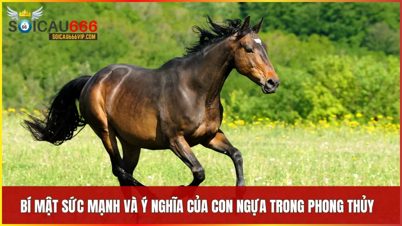 Con ngựa số mấy? Tìm hiểu các cặp số may mắn và ý nghĩa giấc mơ 5 Con ngựa mang đến những con số gắn liền với may mắn và thành công trong dân gian