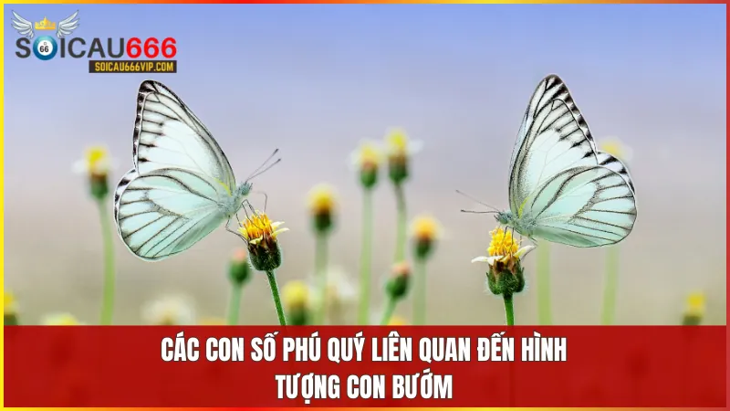 Giải giải mã giấc mơ thấy con bướm và những con số may mắn nên đánh 7 Bướm gắn liền với những con số đại diện cho tài lộc thịnh vượng và sự phát triển không ngừng