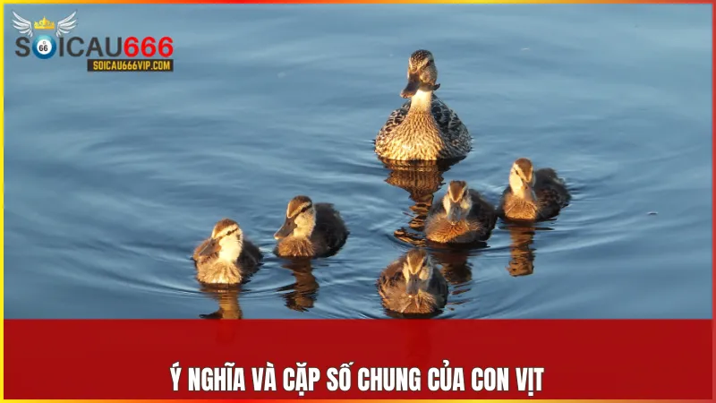 Con vịt số mấy? Khám phá giấc mơ thấy con vịt và số đề may mắn 7 Các con số gắn với con vịt mang đến điềm lành về tài lộc ổn định và những cơ hội phát triển bền vững
