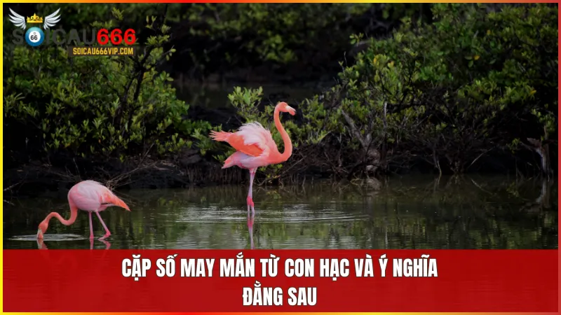 Con hạc số mấy? mơ thấy con hạc đánh con gì trúng? 6 Các con số như 17 57 97 đại diện cho cơ hội phát triển thành công và sự khởi đầu tốt đẹp trong cuộc sống.