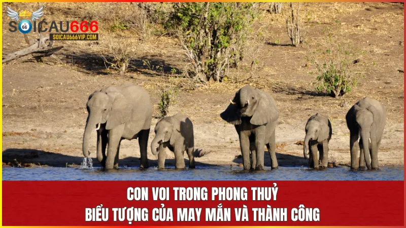 Con voi mang năng lượng tích cực giúp thu hút thịnh vượng và bảo vệ gia chủ theo quan niệm phong thủy.