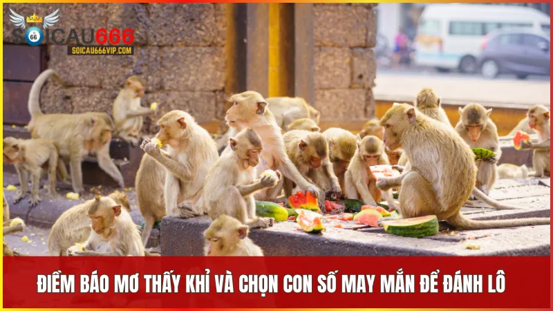 Tìm hiểu giấc mơ thấy con khỉ đánh số mấy? Điềm báo và con số liên quan 10 Những con số từ giấc mơ thấy khỉ giúp bạn nắm bắt vận may và hướng đến thắng lợi bất ngờ