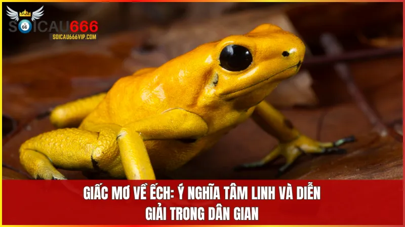 Mơ thấy ếch là điềm báo tâm linh quan trọng, phản ánh những chuyển biến trong cuộc sống và nội tâm.