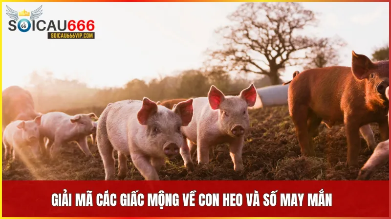 Giải mã giấc mơ về con heo lành hay dữ? Con heo số mấy thịnh vượng 7 Mỗi giấc mơ thấy heo đều mang ý nghĩa riêng và gợi ý những con số giúp tăng vận may