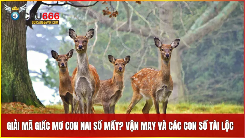 Giấc mơ về con nai số mấy? Có phải là điềm báo quan trọng? 5 Con nai số mấy là từ khóa giúp bạn chọn đúng con số may mắn khi mơ thấy nai và đón nhận vận may dễ dàng hơn.