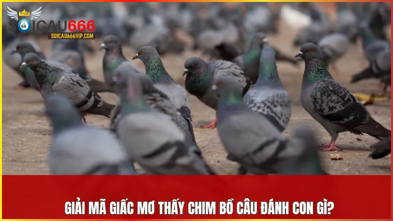 Điềm Báo mơ thấy bồ câu số mấy? Tiết lộ những con số May Mắn 7 Giấc mơ về chim bồ câu phản ánh điềm báo từ vũ trụ và những cơ hội phía trước.
