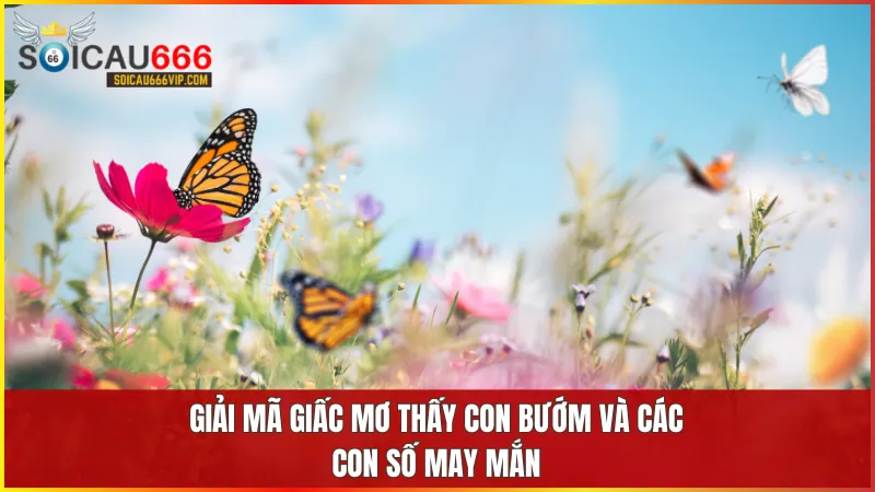 Giải giải mã giấc mơ thấy con bướm và những con số may mắn nên đánh 10 Giấc mơ về con bướm gợi ý những con số cụ thể có thể mang lại tài lộc và may mắn bất ngờ
