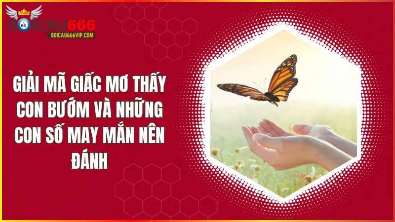 Giải giải mã giấc mơ thấy con bướm và những con số may mắn nên đánh