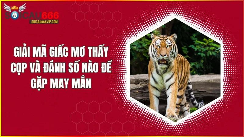 Con cọp số mấy? Giải đáp về ý nghĩa của giấc mơ thấy con cọp