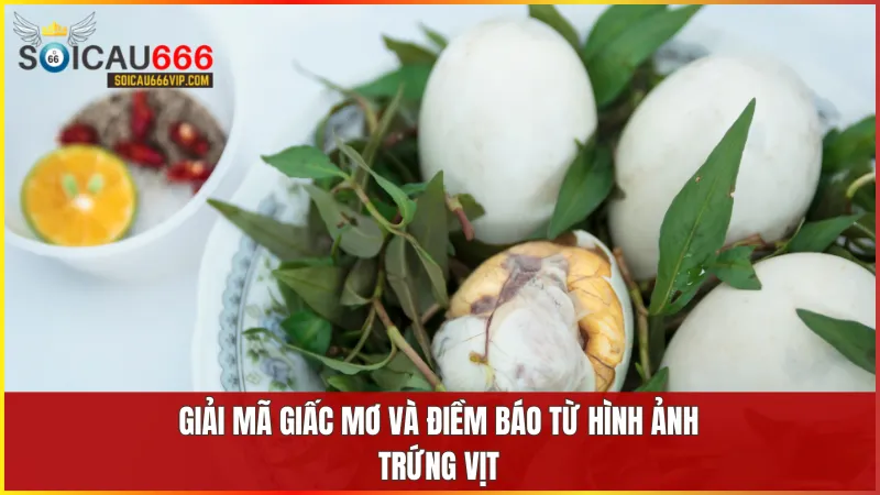 Mỗi giấc mơ về trứng vịt đều phản ánh những dấu hiệu tiềm tàng về sự thay đổi tích cực trong tương lai