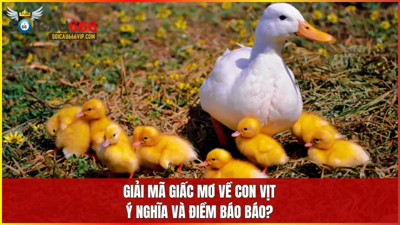 Con vịt số mấy? Khám phá giấc mơ thấy con vịt và số đề may mắn 8 Giấc mơ thấy vịt phản ánh những chuyển biến tích cực hoặc thách thức sắp diễn ra trong cuộc sống của bạn