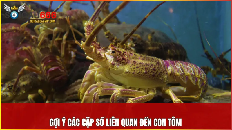 Con tôm số mấy? Giải mã giấc mơ thấy tôm và điềm báo liên quan 7 Tùy theo hành động hoặc trạng thái của tôm trong mơ, mỗi con số lại mang một thông điệp riêng.
