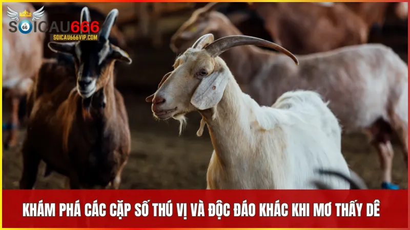 Khám phá con dê số mấy và câu chuyện đằng sau giấc mơ 8 Những cặp số như 15 19 28 32 mang năng lượng tích cực và cơ hội trong cuộc sống