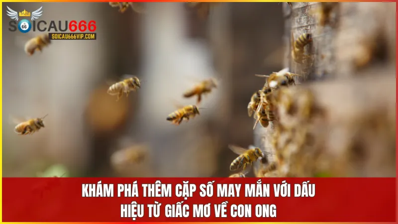 Con ong số mấy? Giải mã giấc mơ thấy con ong đánh con gì? 6 Cặp số như 04 58 76 phản ánh sự kiên nhẫn hòa thuận và cơ hội thành công trong tương lai gần.