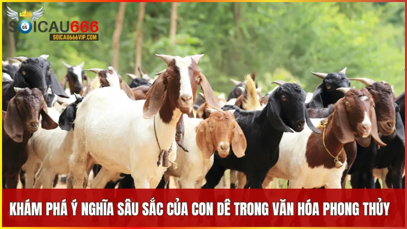 Khám phá con dê số mấy và câu chuyện đằng sau giấc mơ 6 Con dê tượng trưng cho may mắn bình an và khả năng thu hút năng lượng tích cực