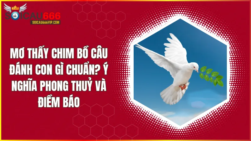 Điềm Báo mơ thấy bồ câu số mấy? Tiết lộ những con số May Mắn