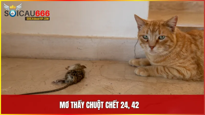 Con chuột số mấy mang nhiều điều may? Giải mã kết nối giấc mơ thấy con chuột 10 Số 24 và 42 là dấu hiệu giải tỏa áp lực và hướng đến sự tái sinh trong tư duy