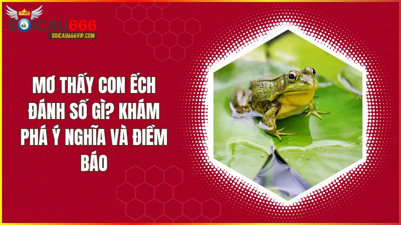 Giấc mơ thấy con ếch – Ý nghĩa và con số may mắn