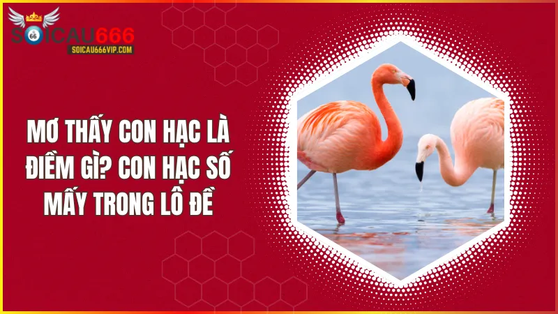 Con hạc số mấy? mơ thấy con hạc đánh con gì trúng?