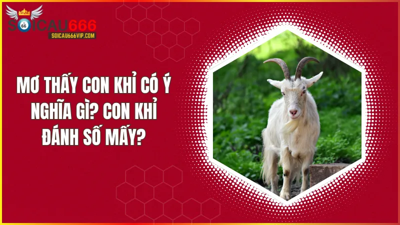 Khám phá con dê số mấy và câu chuyện đằng sau giấc mơ