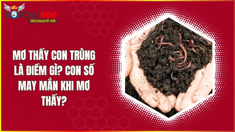 Con trùng số mấy? Phân tích giấc mơ thấy con trùng đánh con gì chắc trúng?