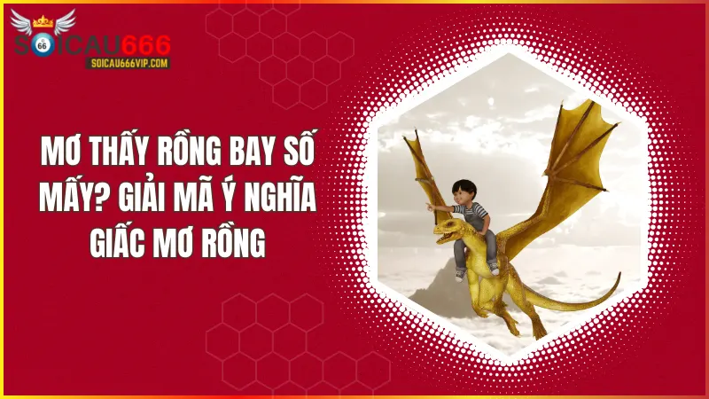 Mơ thấy rồng bay đánh số mấy? Giải mã số mơ và ý nghĩa tâm linh về rồng bay