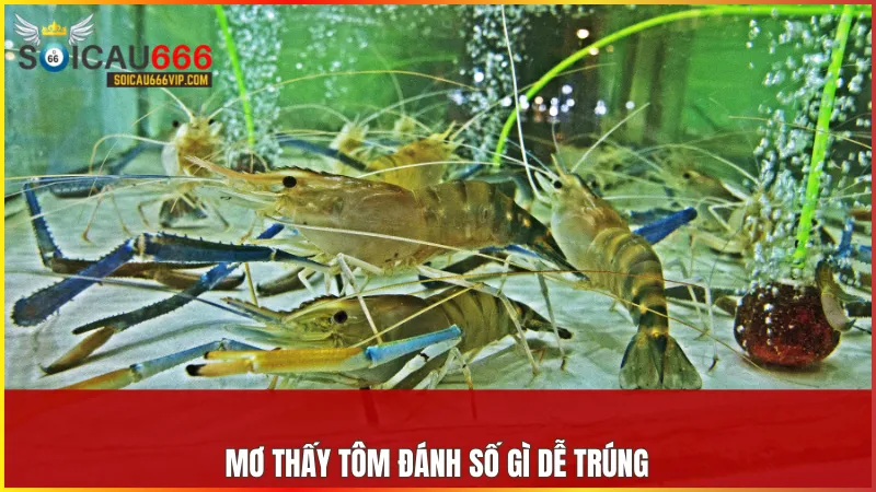 Con tôm số mấy? Giải mã giấc mơ thấy tôm và điềm báo liên quan 8 Danh sách con số tương ứng với các giấc mơ liên quan đến tôm giúp bạn nắm bắt cơ hội trúng lớn.