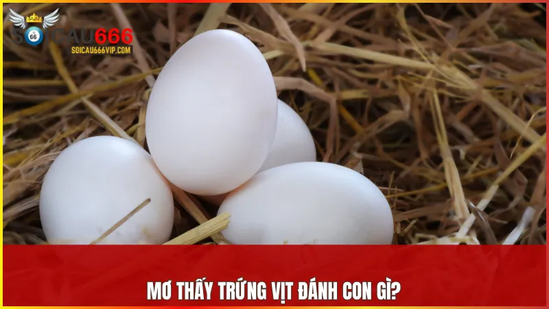Việc lựa chọn con số từ giấc mơ trứng vịt là cách kết nối với năng lượng may mắn từ vũ trụ