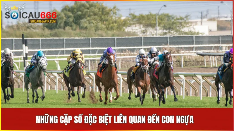 Con ngựa số mấy? Tìm hiểu các cặp số may mắn và ý nghĩa giấc mơ 6 Cặp số 68 tượng trưng cho sự phát đạt và cân bằng trong sự nghiệp và mối quan hệ