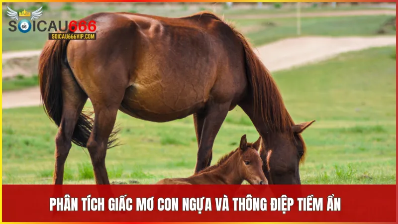 Con ngựa số mấy? Tìm hiểu các cặp số may mắn và ý nghĩa giấc mơ 7 Giấc mơ về ngựa phản ánh trạng thái nội tâm và những dấu hiệu từ tiềm thức