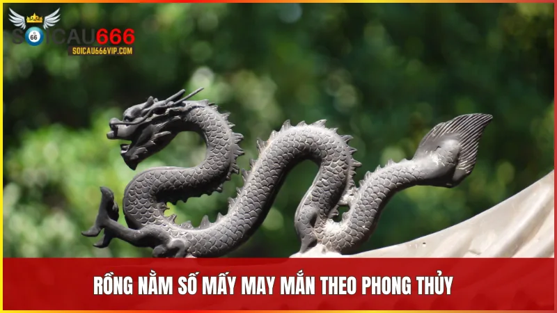 Khám phá bí ẩn phong thủy: Rồng nằm số mấy và ý nghĩa giấc mơ thấy rồng nằm 6 Các con số 08 và 80 đại diện cho thịnh vượng và sự chuẩn bị vững chắc trong phong thủy
