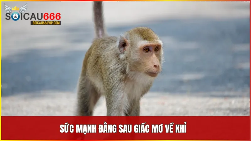 Tìm hiểu giấc mơ thấy con khỉ đánh số mấy? Điềm báo và con số liên quan 7 Cặp số 23 và 63 tượng trưng cho sự sáng tạo thành công và tinh thần thích ứng mạnh mẽ