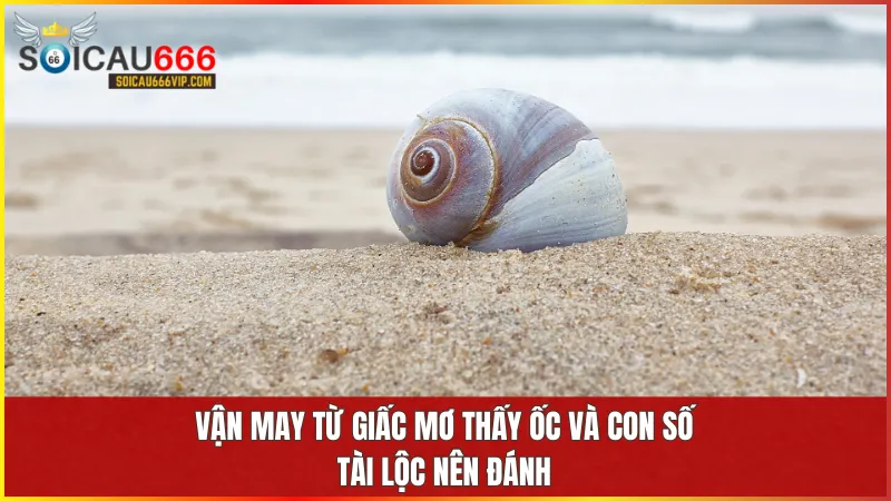 Giải mã giấc mơ: Thấy con ốc, đánh con gì để trúng lớn? 6 Giấc mơ thấy con ốc là dấu hiệu của sự phát triển kiên định và chuyển biến tích cực trong cuộc sống