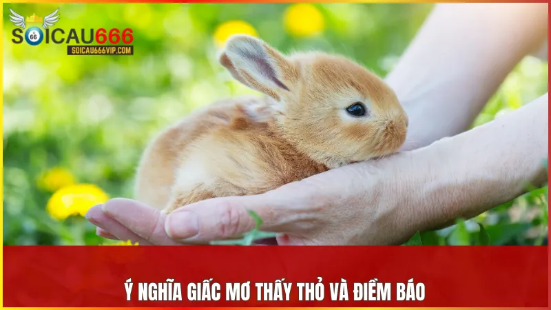 Con thỏ số mấy? Bật mí số may mắn đang ẩn sau giấc mơ! 9 Con thỏ tượng trưng cho sự hài hòa năng lượng dịu nhẹ và thịnh vượng trong không gian sống
