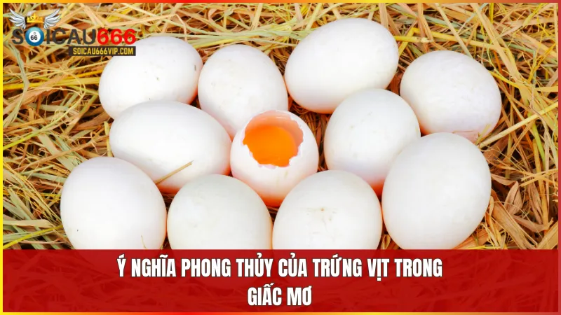 Trứng vịt tượng trưng cho sự sinh sôi phát triển và những khởi đầu tích cực trong cuộc sống