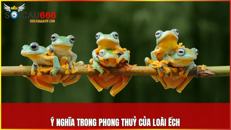 Ếch là biểu tượng phong thuỷ mang lại tài lộc, thịnh vượng và những điều lành cho gia chủ.