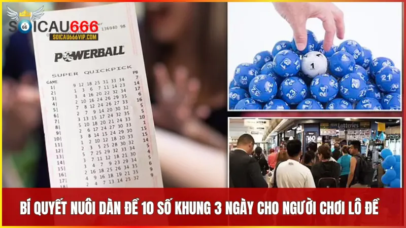 Chiến lược bất bại cho nuôi dàn đề 10 số khung 3 ngày 5 Tối ưu hóa kết quả bằng cách theo dõi hiệu quả của dàn đề và điều chỉnh chiến thuật cho phù hợp với từng giai đoạn