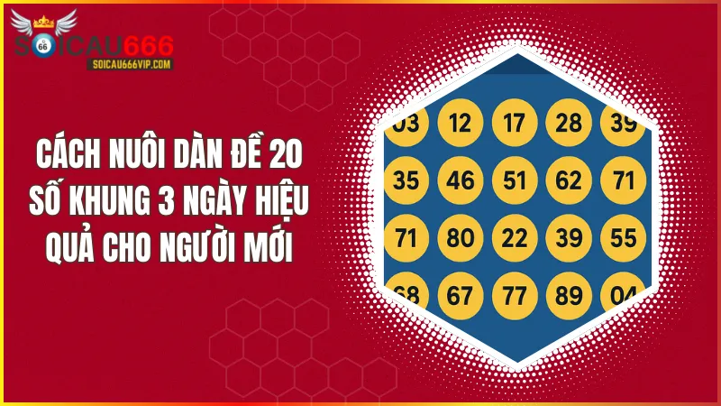 Chiến thuật nuôi dàn đề 20 số khung 3 ngày cho tân thủ