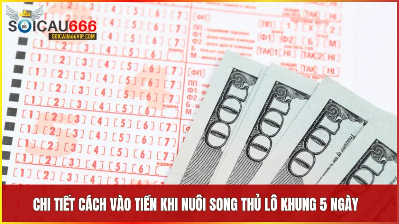 Tuân thủ tỷ lệ cược 1 2 4 8 20 theo từng ngày giúp tối ưu hóa vốn và tăng lợi nhuận khi trúng song thủ lô.