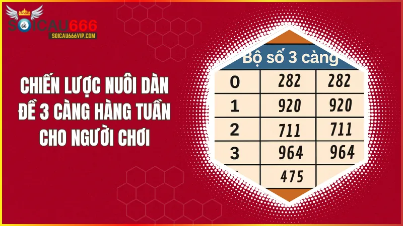 Cách nuôi dàn đề 3 càng hàng tuần hiệu quả cho người chơi thông minh