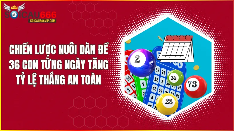 Nuôi dàn đề 36 con từng ngày: Lộ trình đến thắng lợi