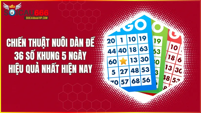 Nuôi dàn đề 36 số khung 5 ngày – Chiến thuật đánh lô đề hiệu quả