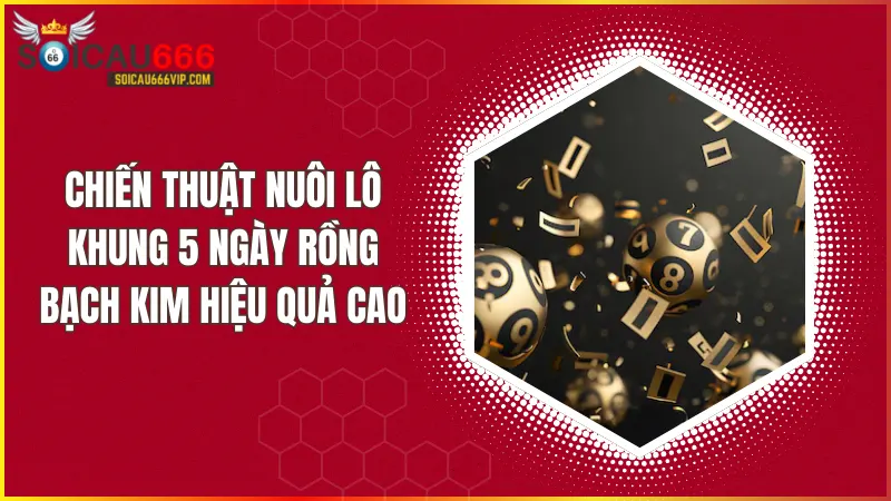 Bí kíp nuôi lô khung 5 ngày rồng bạch kim mới nhất 2024