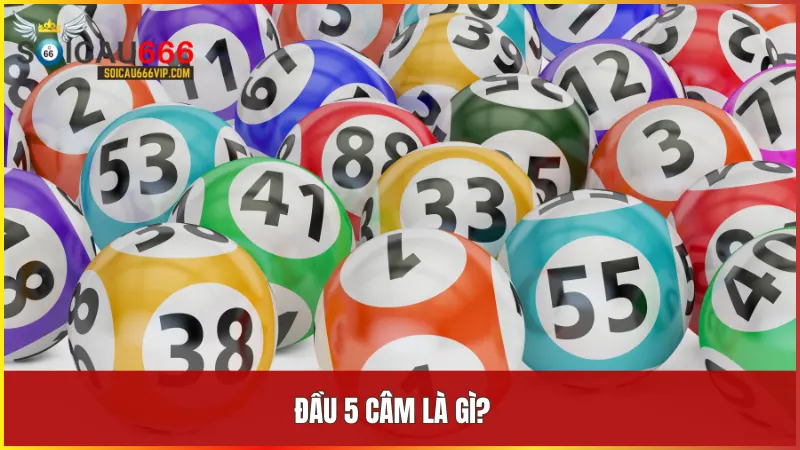 Giải mã đầu 5 câm đánh lô đề gì hiệu quả cho lô thủ 4 Đầu 5 câm là hiện tượng số bắt đầu bằng 5 không xuất hiện trong bất kỳ giải nào của kết quả xổ số trong ngày