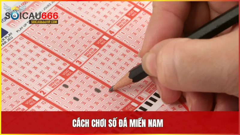 Số đá miền Nam là gì? Hướng dẫn cách chơi và cách tính tiền số đá miền Nam 6 Số đá miền Nam có hai hình thức chơi phổ biến là đá thẳng và đá xiên với nhiều cấp độ và chiến lược khác nhau.