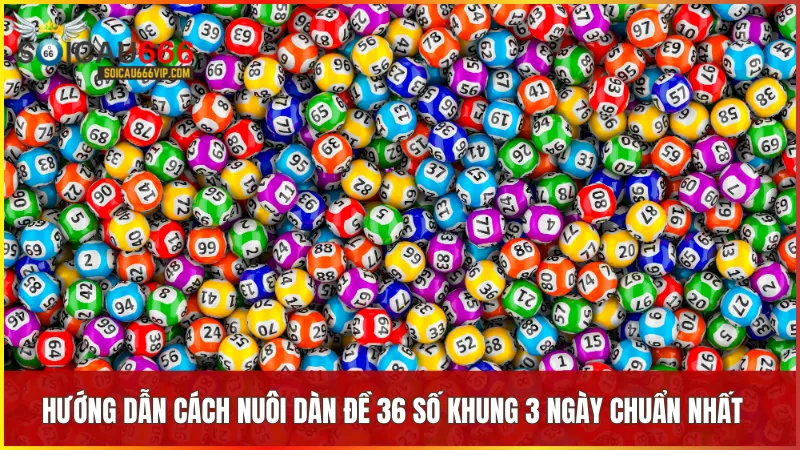 Nuôi dàn đề 36 con từng ngày: Lộ trình đến thắng lợi 7 Các bước triển khai bài bản từ chọn số đến điều chỉnh chiến lược giúp người chơi dễ dàng làm chủ cuộc chơi.